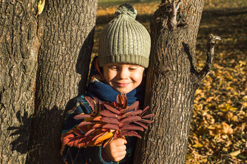 cute happy boy holding autumn leaves outdoors sunny day