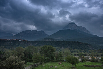 Naklejka premium clouds over the mountains