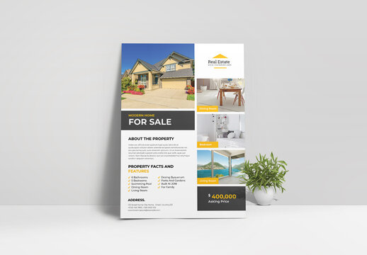 Real Estate Flyer