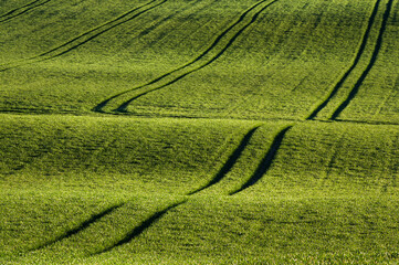 krajobraz na wsi © Kuba Zdanowicz