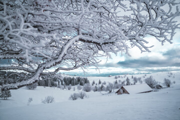 Cold winter in Switzerland
