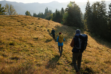 Tourists with backpacks hiking in mountains on sunny day, back view. Space for text