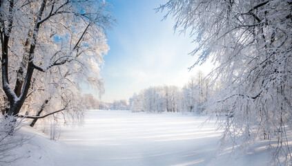 Panorama of beautiful winter park - 461125608