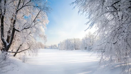 Fotobehang Panorama of beautiful winter park © Alexander Ozerov