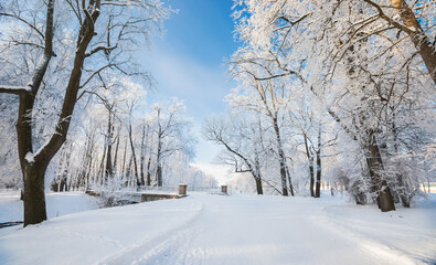 Panorama of beautiful winter park - 461125632