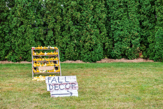 Roadside Stand Offers Farm Produce As Home Decor