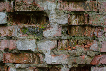 Old brickwork. A fragment of a collapsing wall with moss . Textured background image.