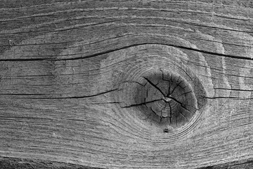 A fragment of a rough, textured, wooden board with a knot. Background image. Close-up. Black and white photo.