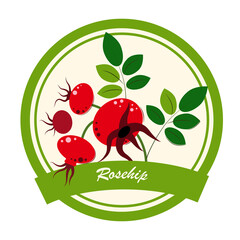 Rosehip. Rosehip Jam, Marmalade, dessert and ice cream Label. Flat style. Vector Illustration.