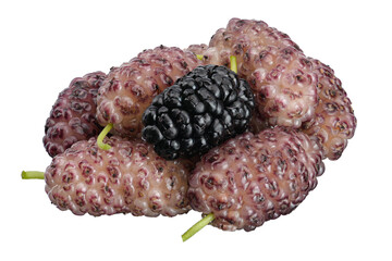 berries of fresh sweet white and black mulberry on a white isolated background.