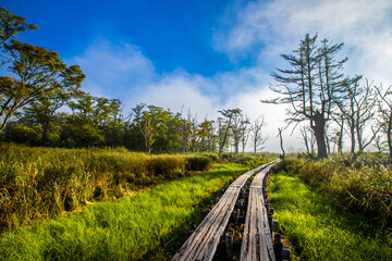 群馬県　秋の尾瀬ヶ原