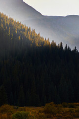 Mountains covered in pine trees with beams of sunlight hitting the peaks