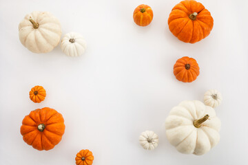 Fresh ripe pumpkins on white background. Flat lay. Top view