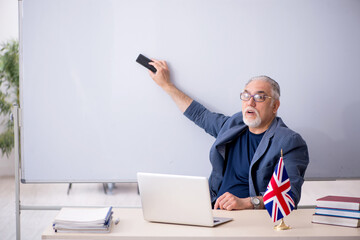 Old male english language teacher in the classroom