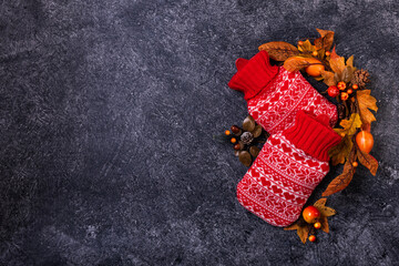 Fototapeta na wymiar Red knitted hot water bottle with fall autumn leaves
