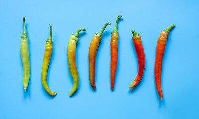 Colorful hot peppers on light blue background