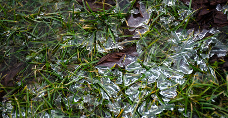 Glittering pieces of ice on the green grass. Spring background with rime on young greens. Melting ice on the ground.
