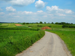 Droga przez łąki i pola