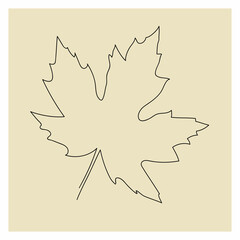 illustration of a maple leaf in one line style
