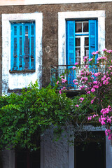 Fototapeta na wymiar Bush in front of townhouse with blue shutters