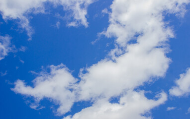 Obraz premium blue sky with white persisted clouds. natural background for design.