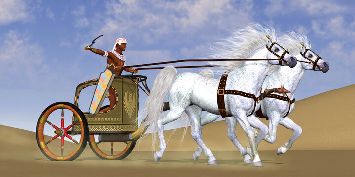 Egyptian Horse Chariot - An Egyptian warrior rides in a chariot with a team of Arabian horses to a battle in ancient Egypt.