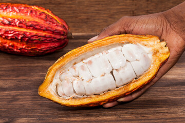 Theobroma Cacao - Organic Cocoa Fruit Of The Cocoa Tree; Photo On Wooden Background