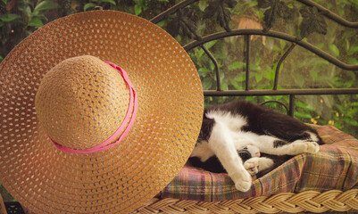 Chat noir et blanc qui se protège du soleil derrière un chapeau de paille.
