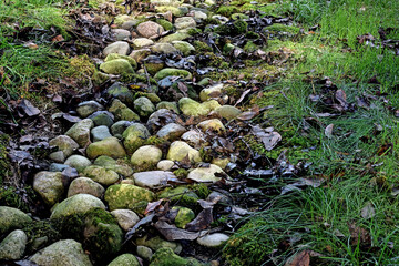 Dry stream bed in southern Michigan during Fall early October after a heavy rain 