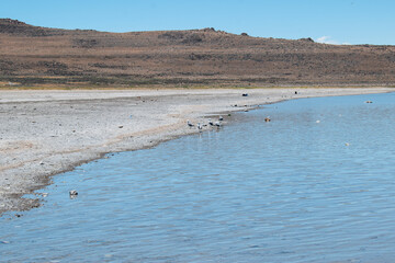 Great Salt Lake Shoreline