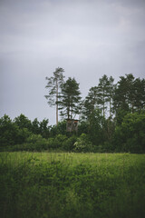 Fototapeta premium beautiful green Carpathian forests and green glade with a panoramic observation booth on a cloudy day, front view overall plan