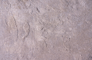 Wall Grey dark Cement concrete texture background. close-up