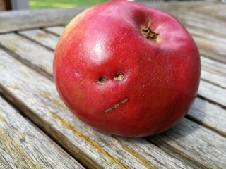 roter Apfel mit Narbengesicht