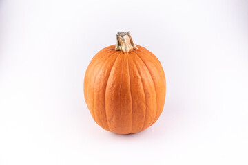 pumpkin stock 2