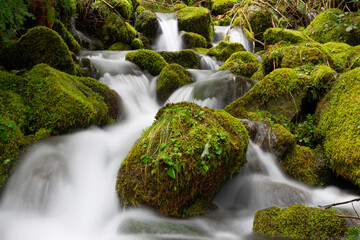 Fototapeta na wymiar Small waterfall cascades over mossy rocks