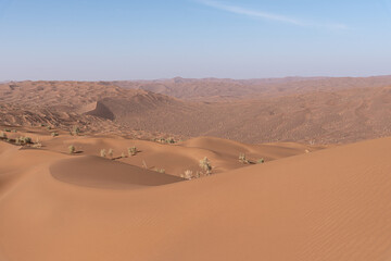 Fototapeta na wymiar the formation of sand dunes in dasht e lut or sahara desert. Nature and landscapes desert.