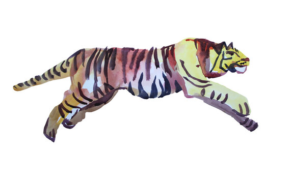 Watercolor hand-drawn abstract jump tiger wild cat isolated on white background. Chinese symbol new year. Orange animal with black stripes. Creative clipart for christmas, celebration