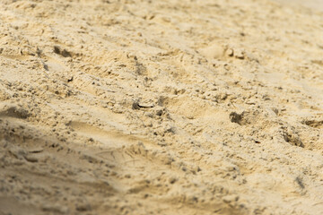 beach sand