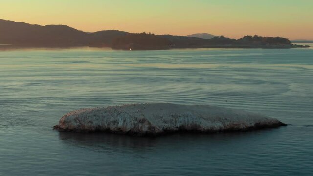 Aerial: Rocky Island and birds, San Francisco Bay, Richmond, Oakland.