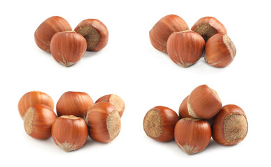 Set with tasty hazelnuts on white background