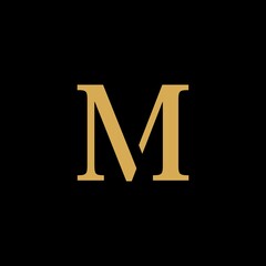 NM Letter Logo Design. Creative Modern Alphabet letters monogram icon