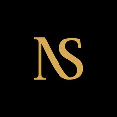 NS Letter Logo Design. Creative Modern Alphabet letters monogram icon