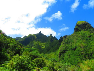 Beautiful sunset in Hawaii by ocean