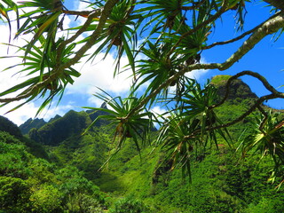 Beautiful sunset in Hawaii by ocean