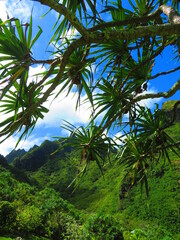 Beautiful sunset in Hawaii by ocean