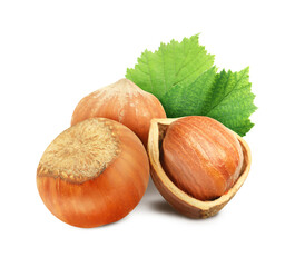 Tasty hazelnuts and green leaves on white background