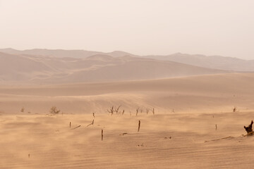 Fototapeta na wymiar stormy weather in dasht e lut or sahara desert. Nature and landscapes desert.