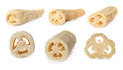 Set with natural shower loofah sponges on white background