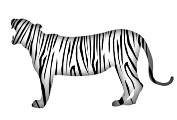 寅　年賀状　虎柄　背景