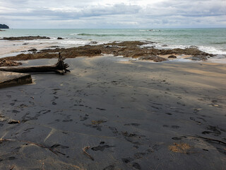 Twigs, the sea, rocks and the black desert.